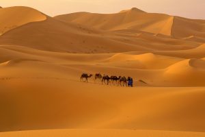 Deserto del Sahara Yoga nel Deserto Formula Quattro Agenzia Viaggi Mestre Venezia Crescita Personale Benessere Meditazione 2018