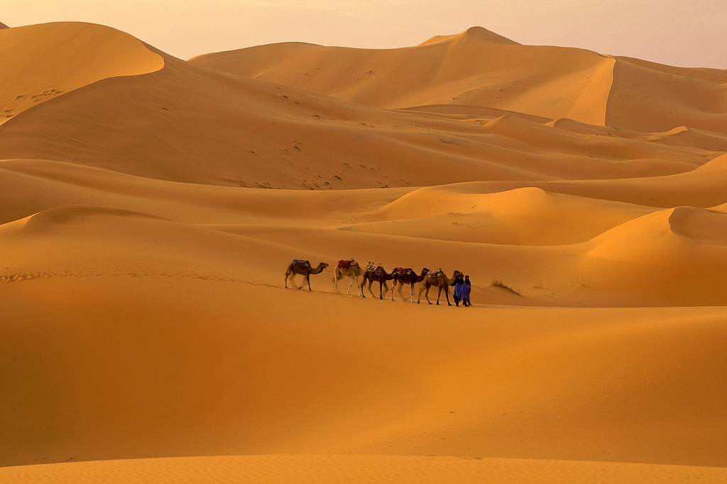 Deserto del Sahara Yoga nel Deserto Formula Quattro Agenzia Viaggi Mestre Venezia Crescita Personale Benessere Meditazione 2018