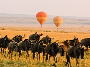 Agenzia Viaggio Formula Quattro Viaggi per viaggiatori Mestre Venezia Vacanze Tour Mongolfiera Idee viaggio Mongolfiere