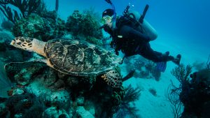 Formula Quattro Agenzia Mestre Venezia, Idee Viaggi, Viaggio di nozze, Luna di miele Turks e Caicos