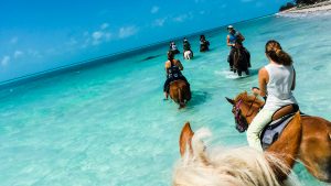 Formula Quattro Agenzia Mestre Venezia, Idee Viaggi, Viaggio di nozze, Luna di miele Turks e Caicos