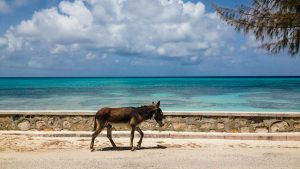 Formula Quattro Agenzia Mestre Venezia, Idee Viaggi, Viaggio di nozze, Luna di miele Turks e Caicos