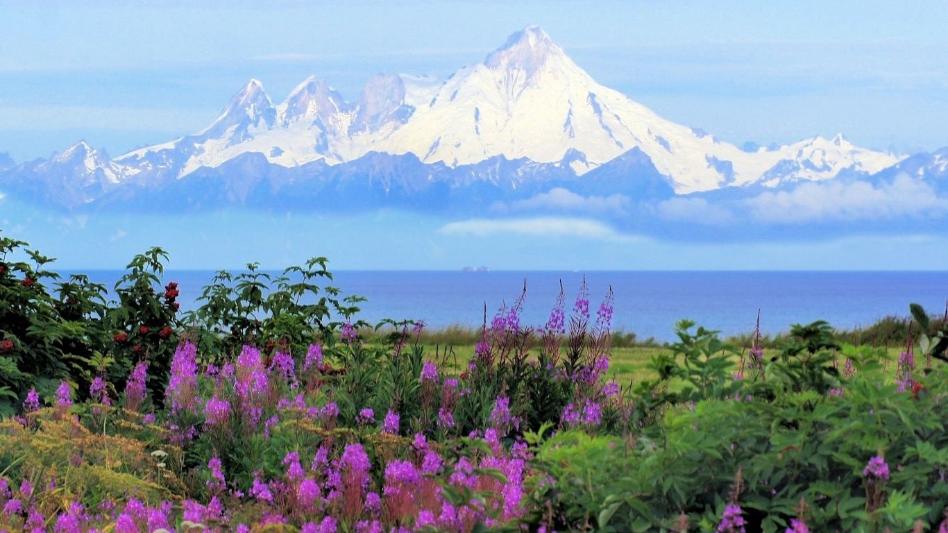 Alaska Naturale: tra Fiordi, Foreste e Fauna