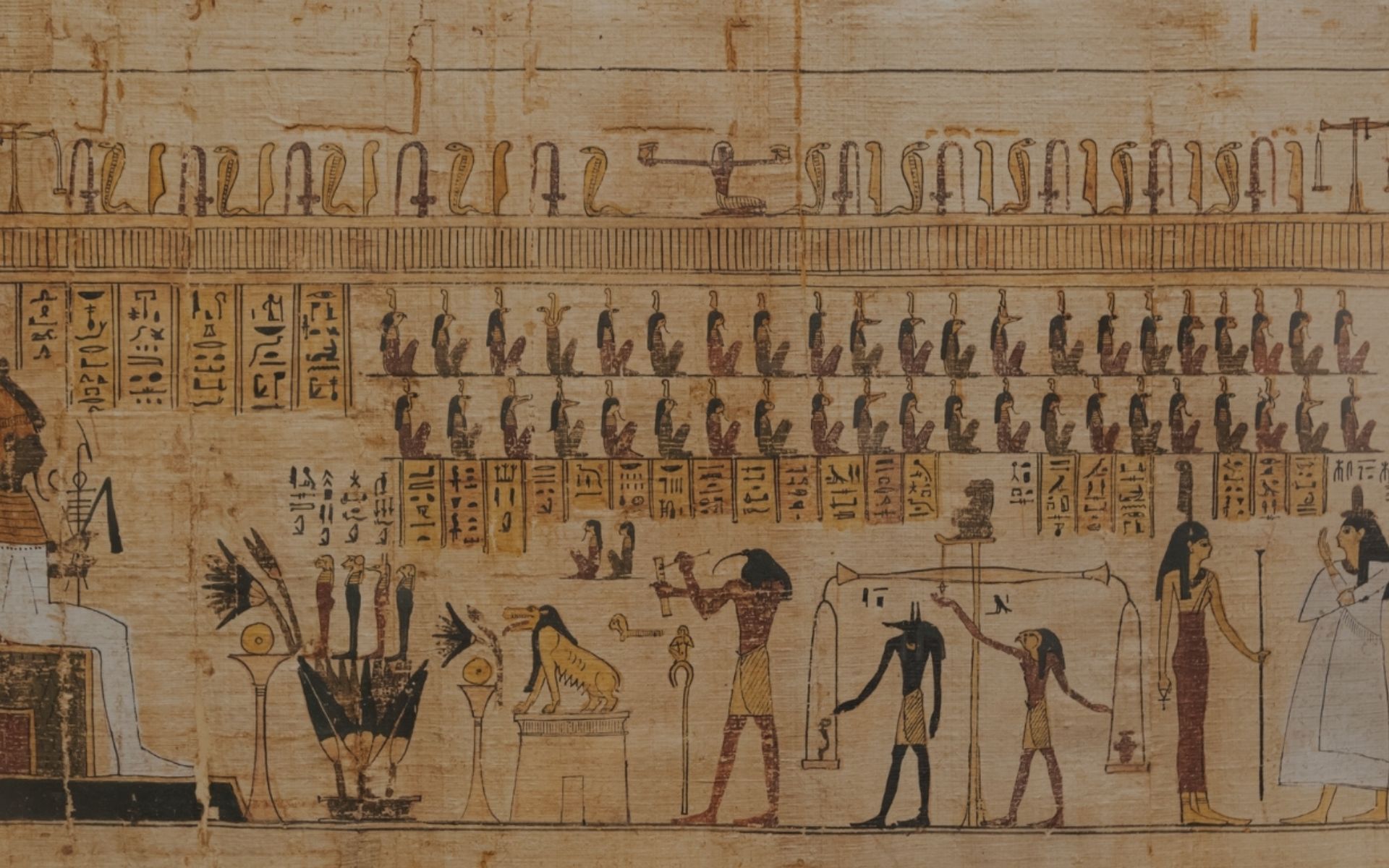 Scopri perché tutti vogliono vedere il nuovo Grand Egyptian Museum (e perché tu dovresti farlo ora)