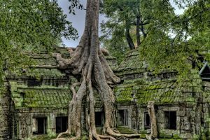Viaggiare in Cambogia