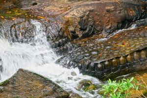Viaggiare in Cambogia