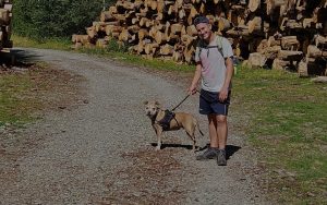 vacanze pet-friendly italia