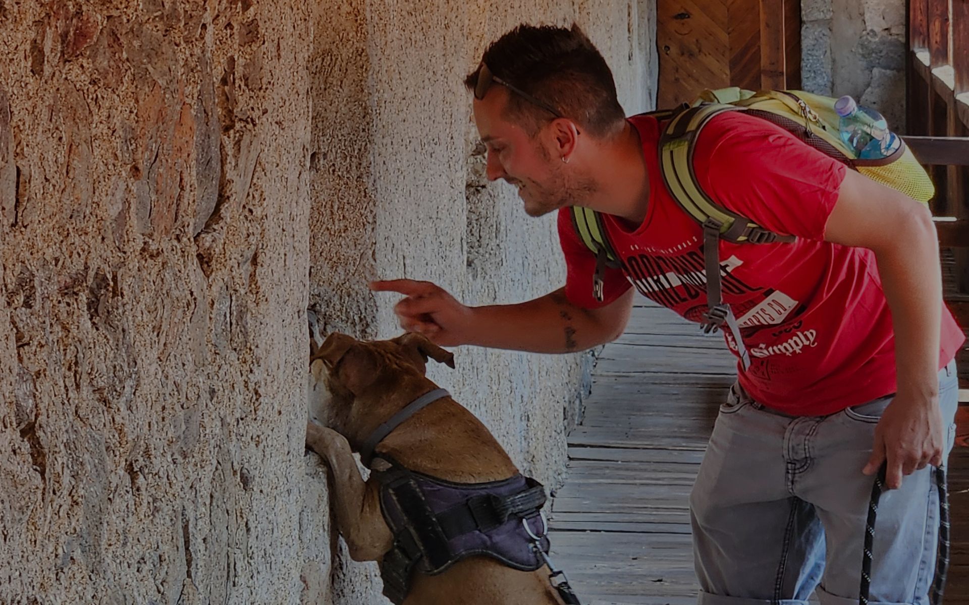 Vacanze pet friendly in Italia: dove andare con il cane senza rinunciare al piacere del viaggio