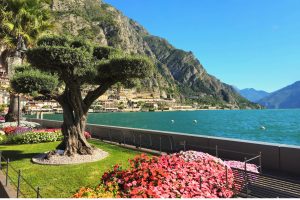 vacanze pet-friendly lago di garda