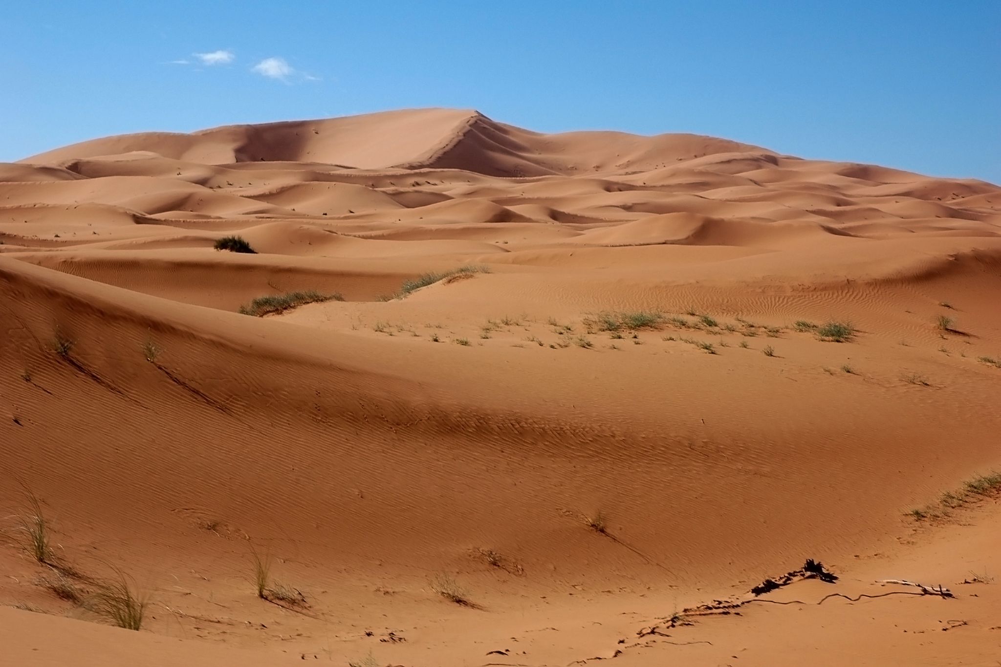 Viaggio Marocco del Sud - Erg Chegaga